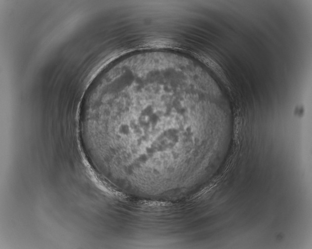 X0000115411039200911171354