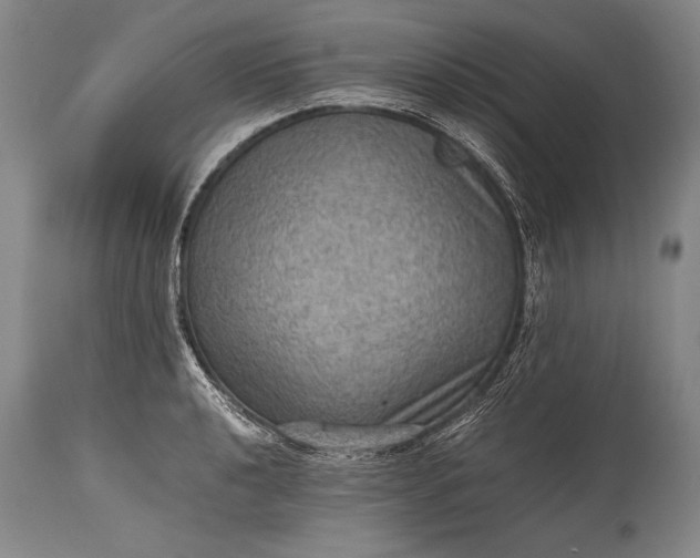 X0000115411040200911171354