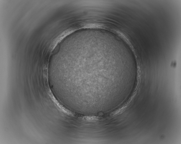 X0000115411041200911171354
