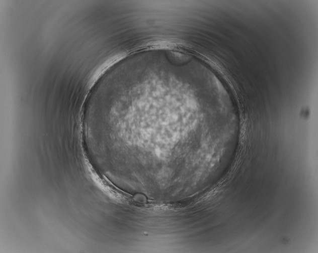 X0000115411042200911171354