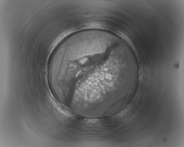 X0000115411043200911171354