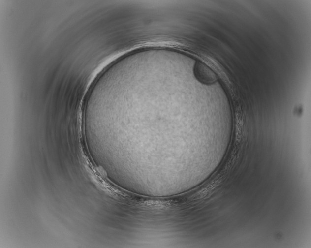 X0000115411044200911171354