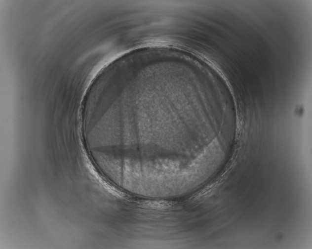X0000115411045200911171354