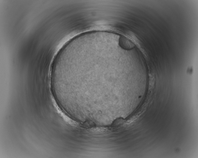 X0000115411046200911171354