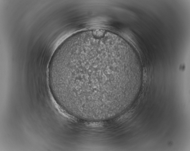 X0000115411047200911171354
