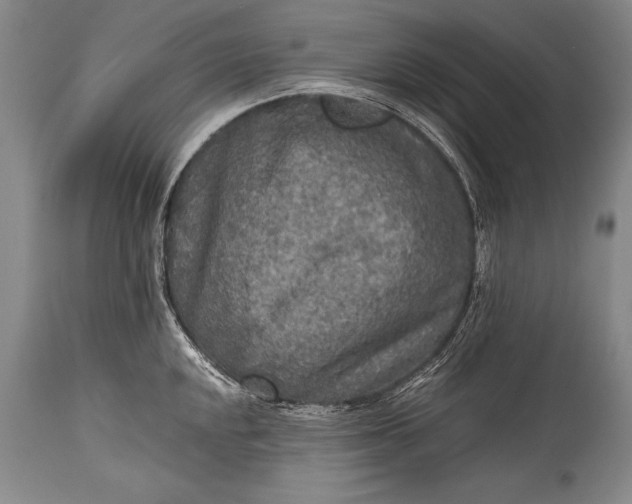 X0000115411048200911171354