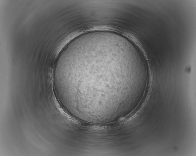X0000115411049200911171354