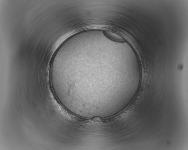 X0000115411050200911171354