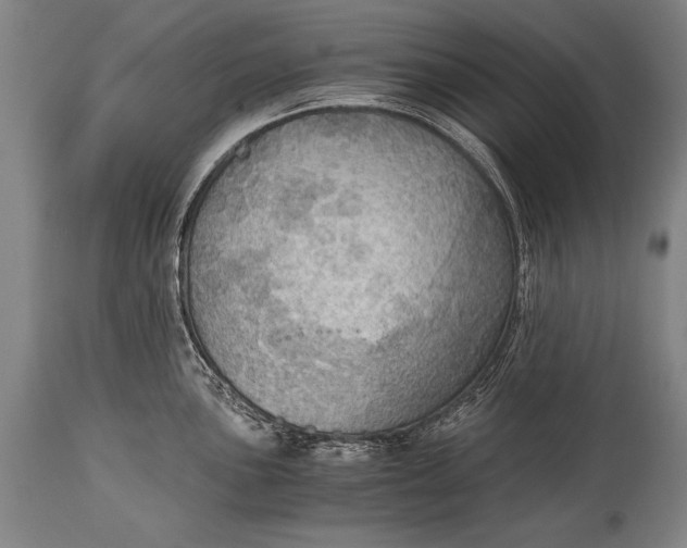 X0000115411051200911171354