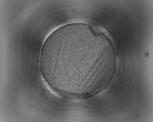 X0000115411052200911171354