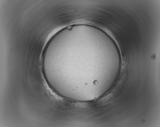X0000115411053200911171354