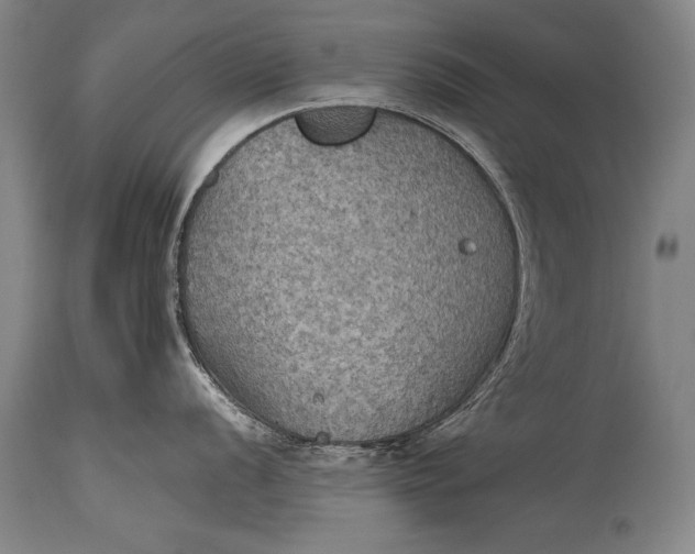 X0000115411056200911171355