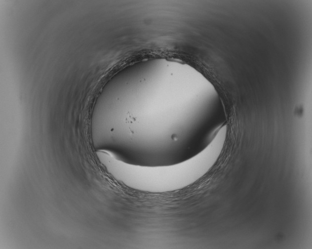 X0000115411057200911171354