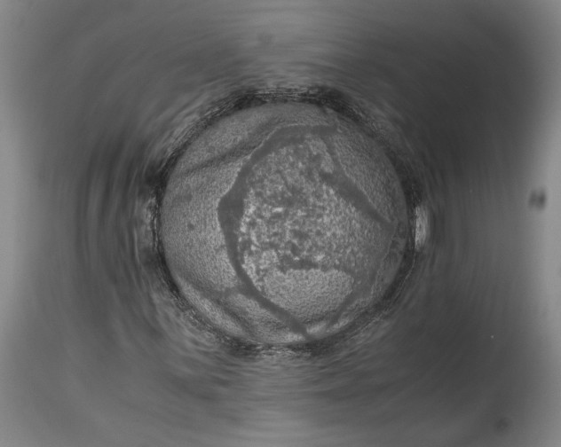 X0000115411059200911171354