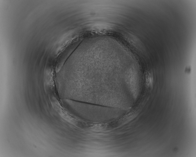 X0000115411060200911171354