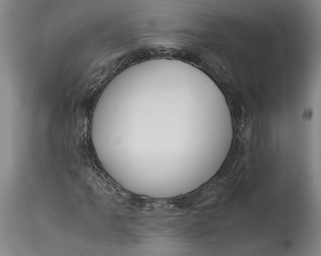 X0000115411061200911171354