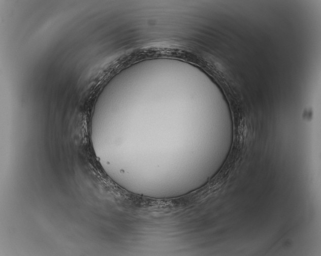 X0000115411062200911171354