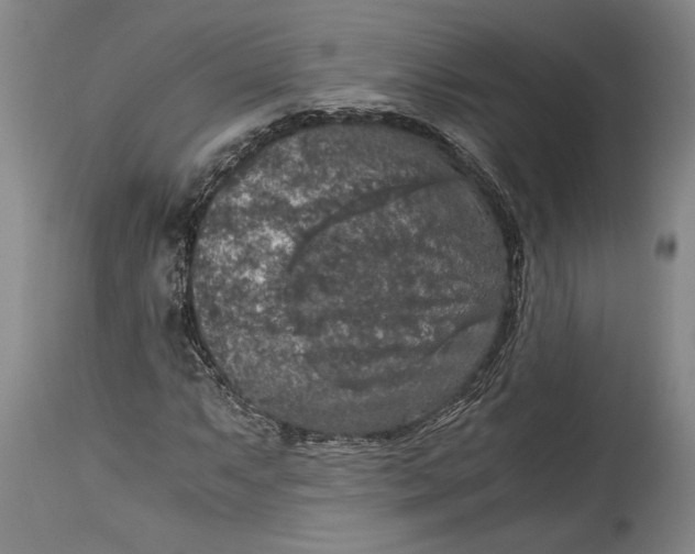 X0000115411063200911171354