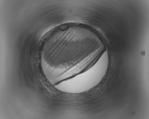 X0000115411064200911171354