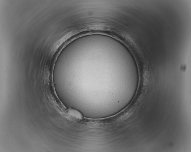 X0000115411065200911171354