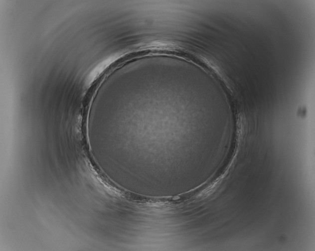 X0000115411066200911171354