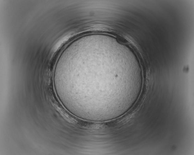 X0000115411067200911171354