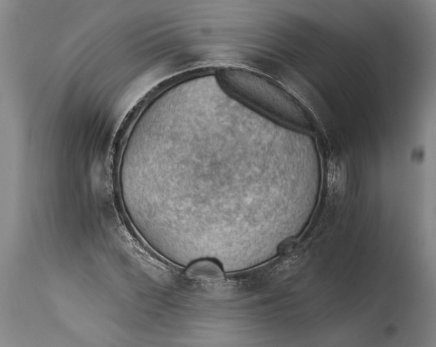 X0000115411068200911171354