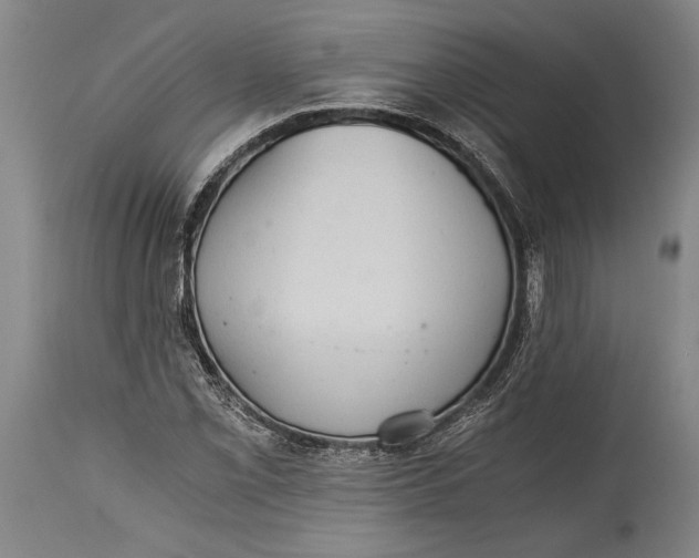 X0000115411069200911171354