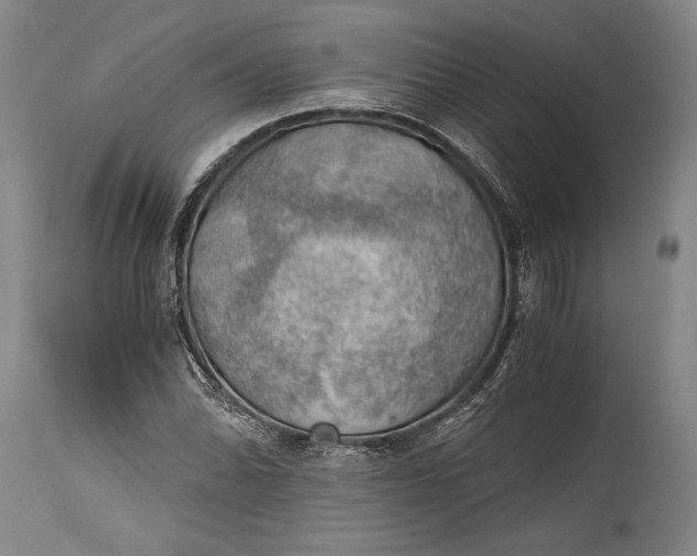 X0000115411070200911171354