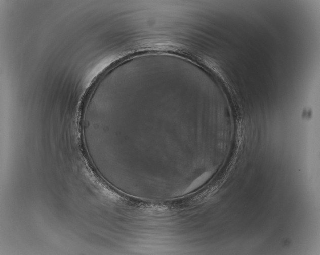 X0000115411071200911171353