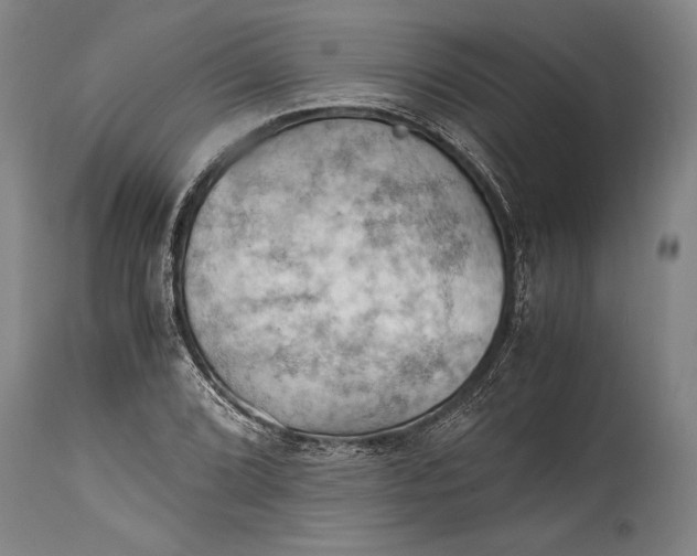 X0000115411072200911171353