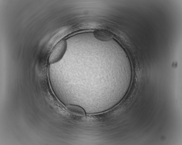 X0000115411073200911171353