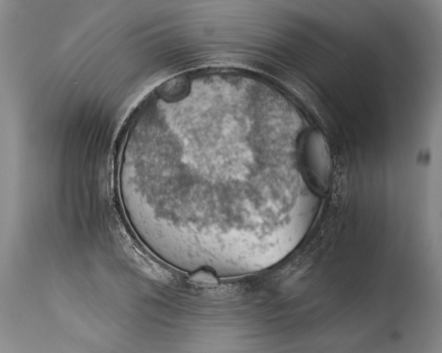 X0000115411076200911171353