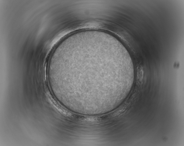 X0000115411078200911171353