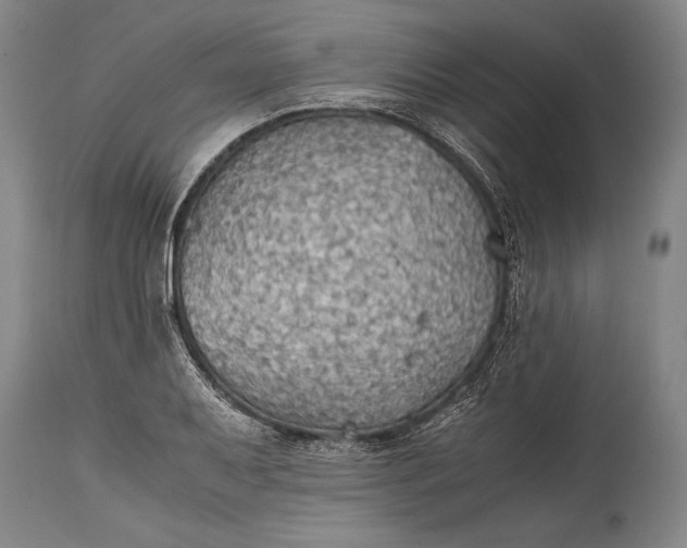 X0000115411079200911171353
