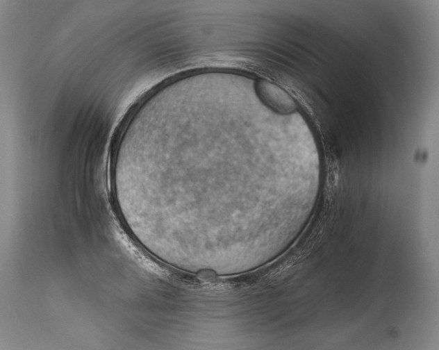 X0000115411080200911171353