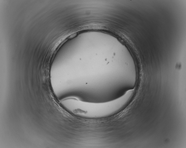X0000115411081200911171353