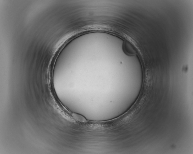X0000115411082200911171353