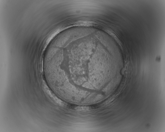 X0000115411083200911171353