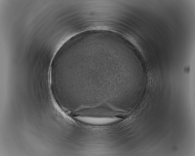 X0000115411084200911171353