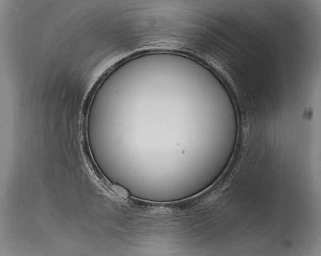 X0000115411085200911171353