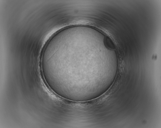 X0000115411086200911171353