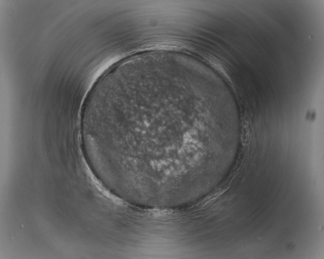 X0000115411087200911171353