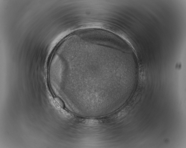 X0000115411088200911171353