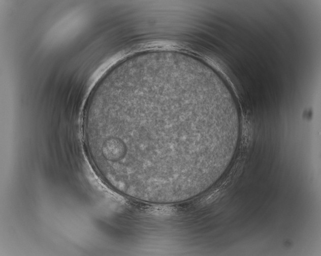 X0000115411090200911171353