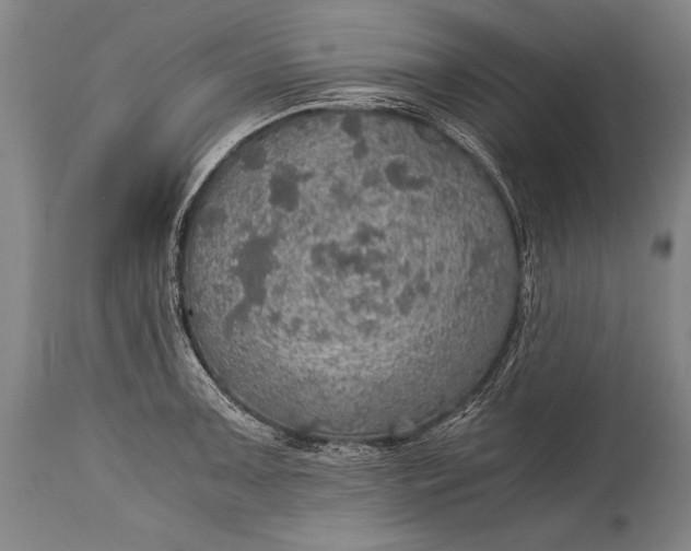 X0000115411091200911171353
