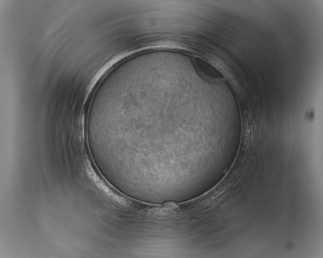 X0000115411092200911171353