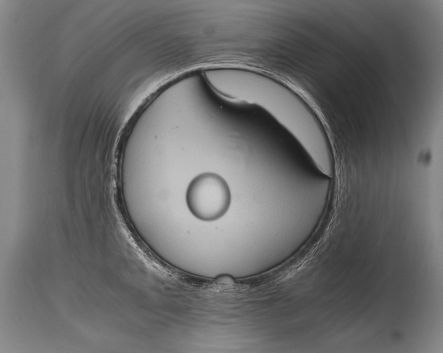 X0000115411093200911171353