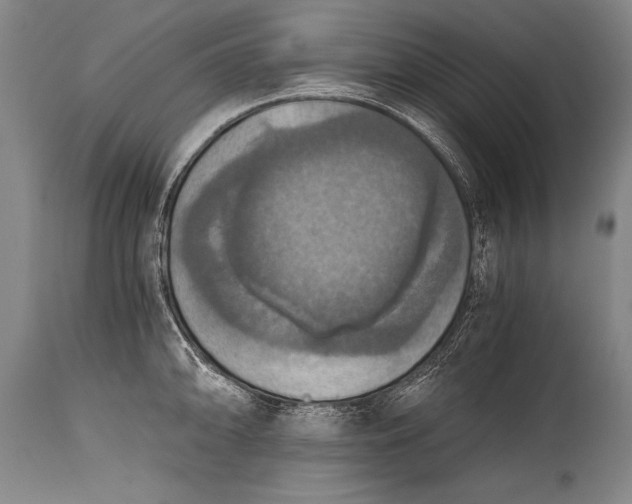 X0000115411094200911171353