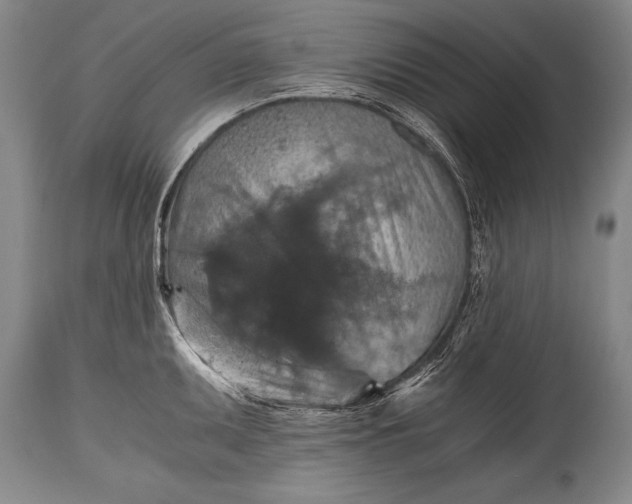 X0000115411095200911171353